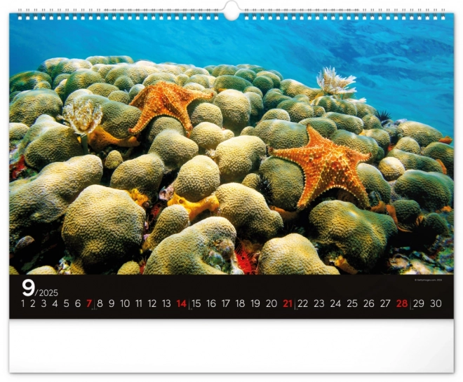 Calendario da parete Oceano 2025