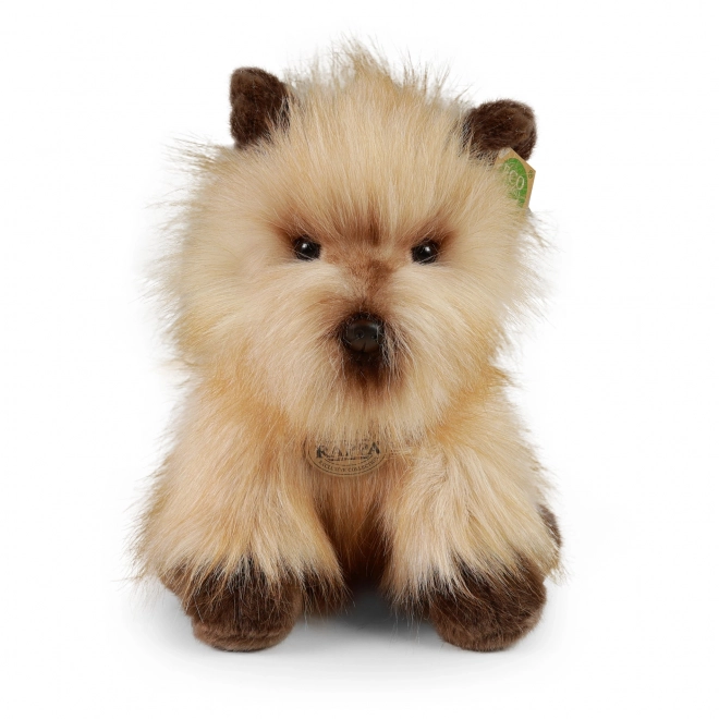 Cane Cairn Terrier di Peluche 30 cm Eco-Sostenibile