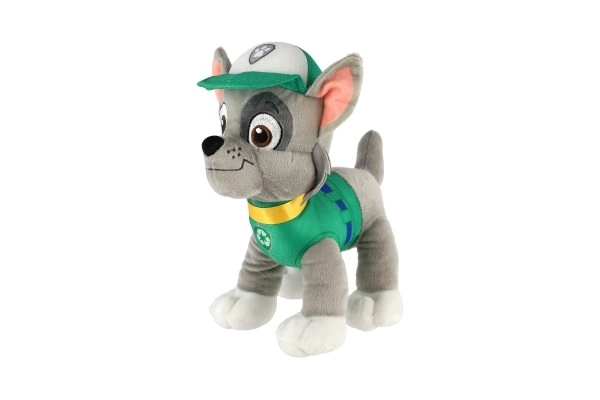Figura della Paw Patrol Personaggio di peluche 6 tipi