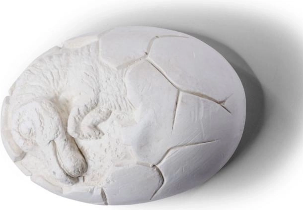 Set per scavare uova di dinosauro