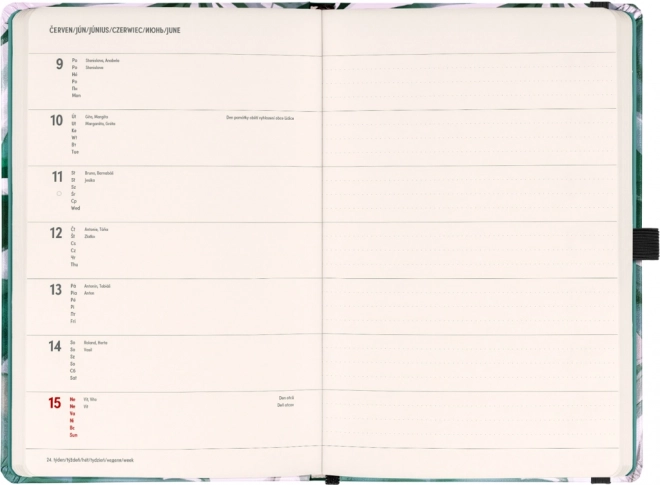 Diario settimanale Monstera 2025