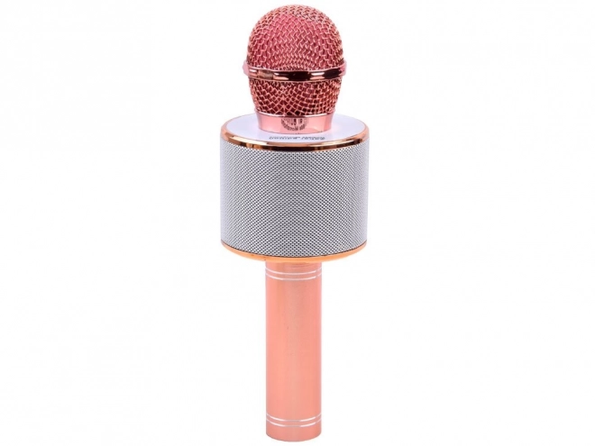 Microfono Karaoke Wireless con Altoparlante