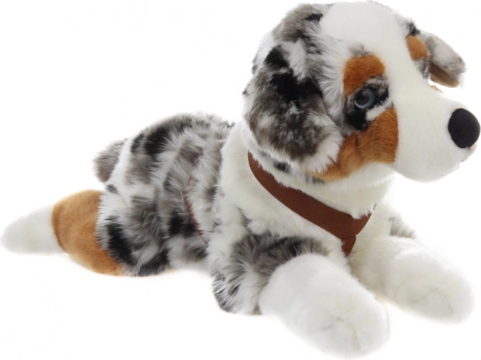 Aspetto realistico del pastore australiano