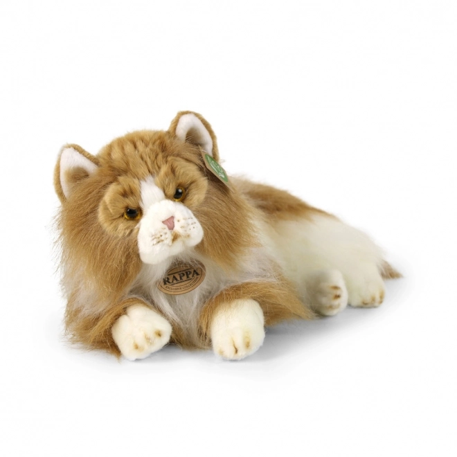 Gatto Persiano Peluche Bicolore 25 cm Eco-Friendly