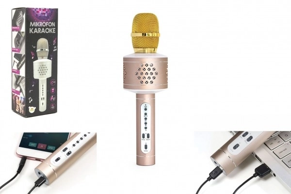 Microfono karaoke con Bluetooth argento – Argento