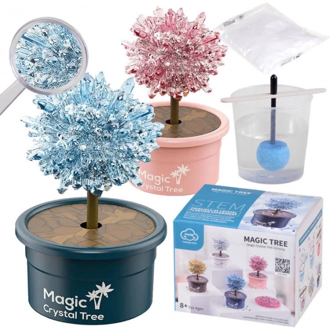 Set per crescere un albero di cristallo della felicità