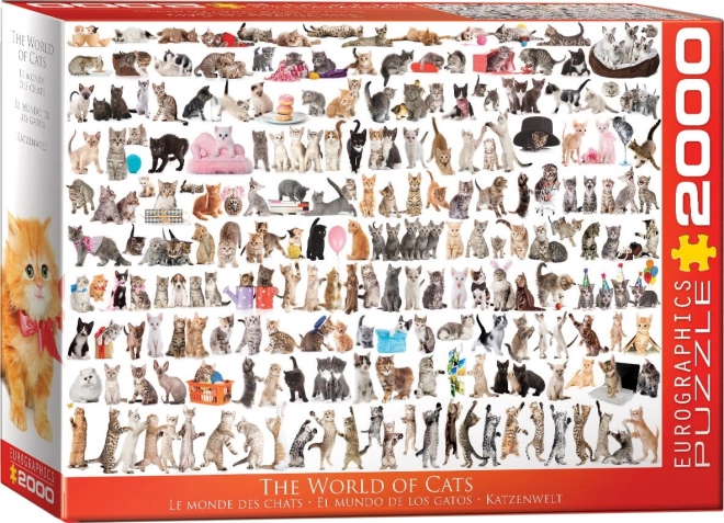 Puzzle Mondo dei Gatti 2000 Pezzi