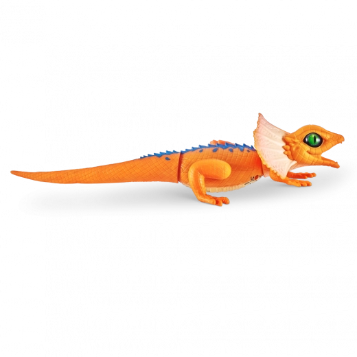 Aspetto e colori realistici