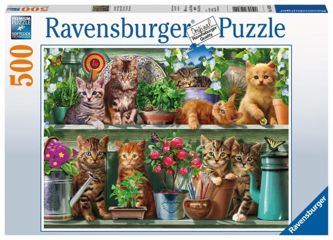 Puzzle Gatti su Mensola 500 Pezzi