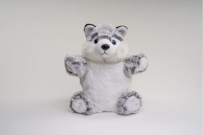 Peluches Husky Burattino 25 cm