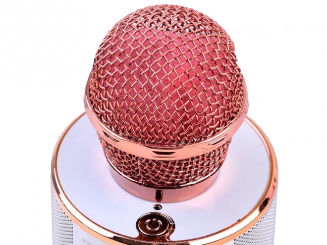 Microfono Karaoke Wireless con Altoparlante