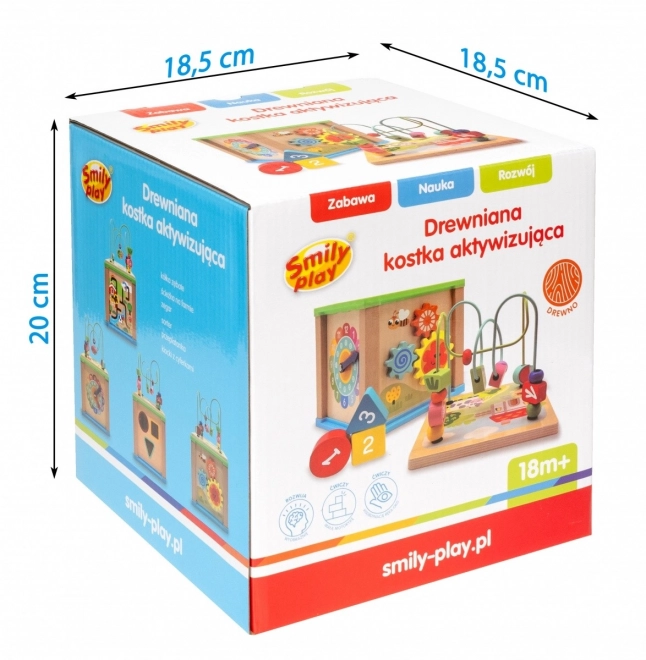 Cubo di attività in legno 5 in 1