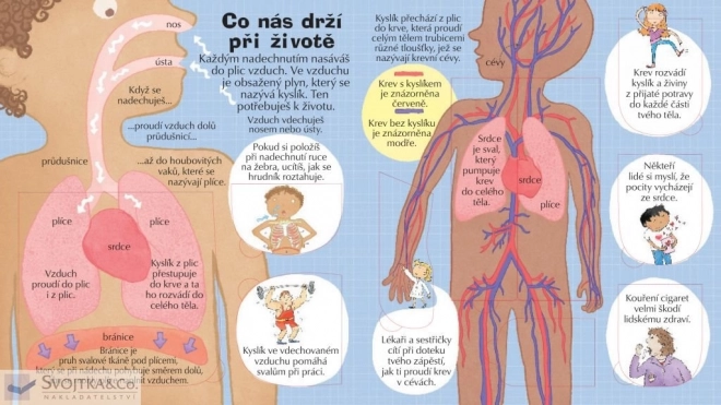 Guarda nel tuo corpo