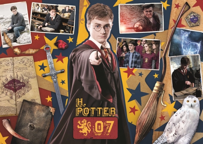 Puzzle Harry Potter: Ron, Hermione e Harry