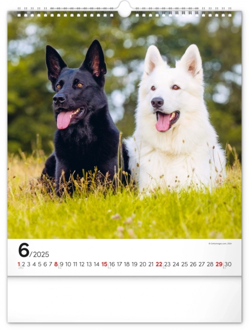 Calendario da muro cani 2025