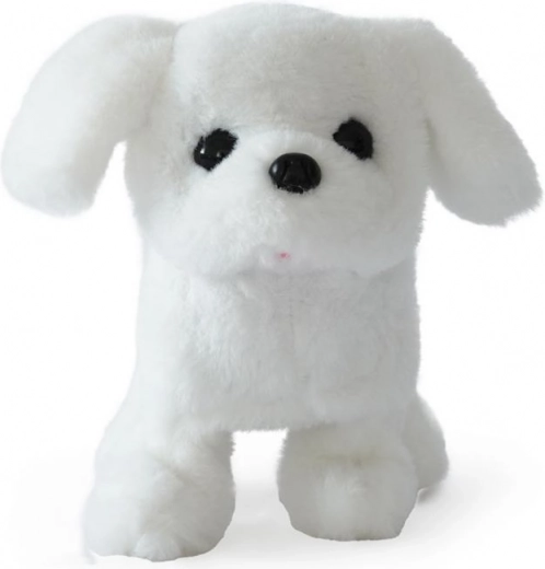 Una coda che scodinzola e fa felici