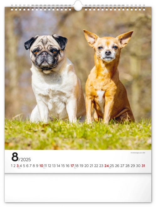 Calendario da muro cani 2025