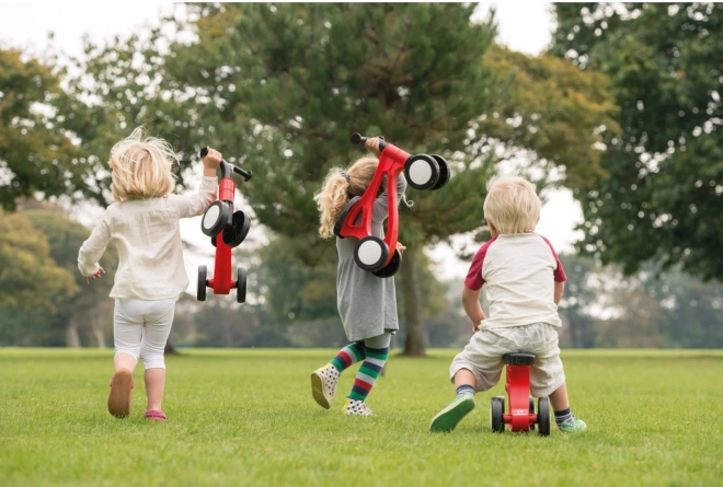 Bicicletta colorata per bambini