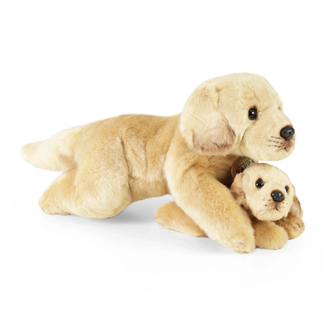 Cane di peluche Labrador con cucciolo sdraiato 25 cm