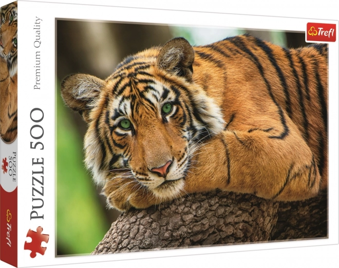 Puzzle 500 pezzi Ritratto di Tigre