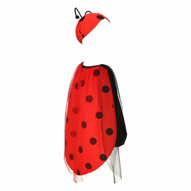 Costume di carnevale Coccinella