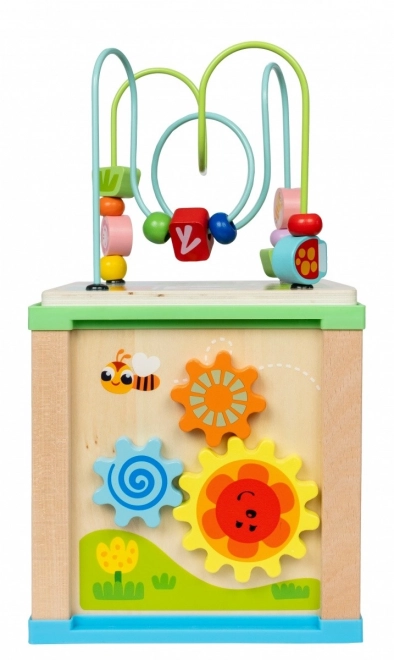 Cubo di attività in legno 5 in 1