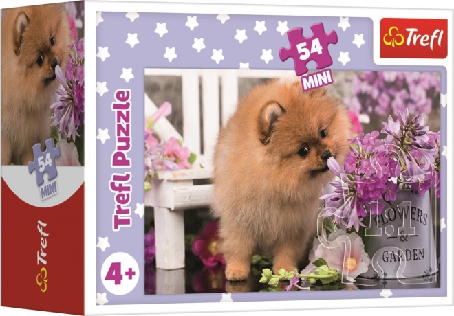 Puzzle Animali Dolci: Cucciolo Curioso 54 Pezzi