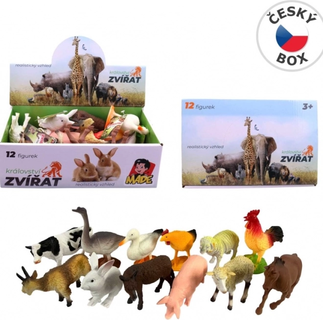 Animali Domestici Set in Scatola da Esposizione