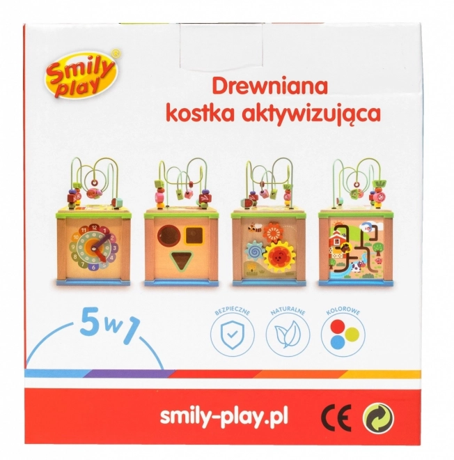 Cubo di attività in legno 5 in 1