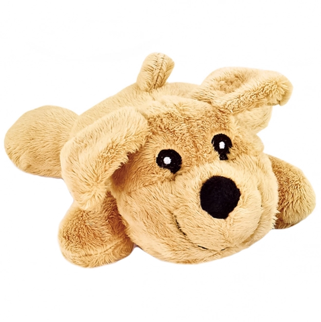 Set veterinario portatile con cagnolino Woopie