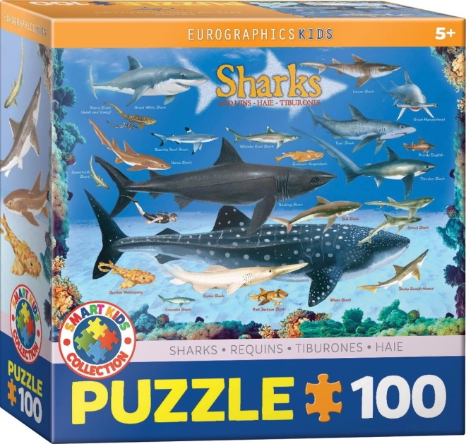 Puzzle Squalo 100 Pezzi