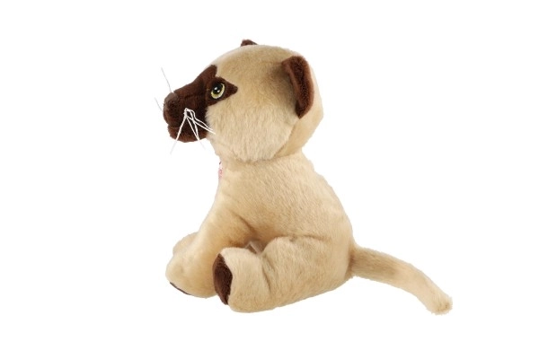 Gatto peluche seduto con suono