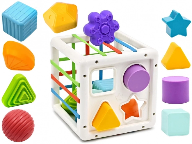 Cubo Ordinatore Giocattolo Educativo per Bambini