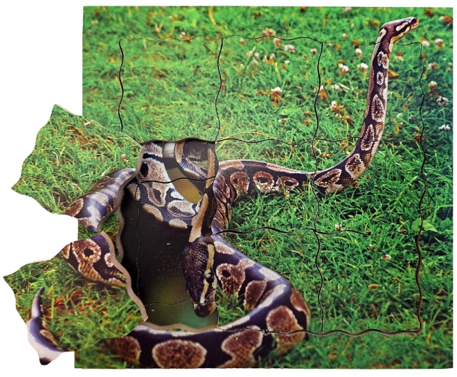 Ciclo di vita del serpente - Puzzle stratificato in legno