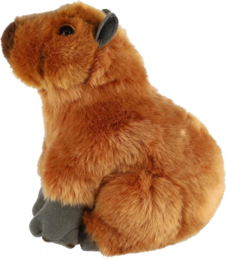 Scelta sicura fin dalla nascita