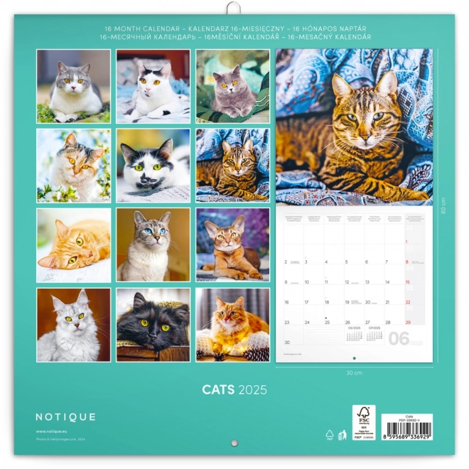 Calendario Notique Gatti 2025