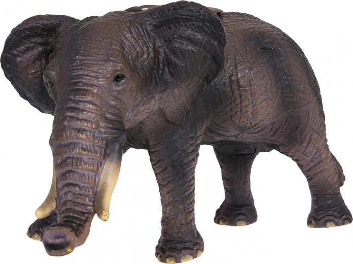 Dettagli realistici e struttura robusta