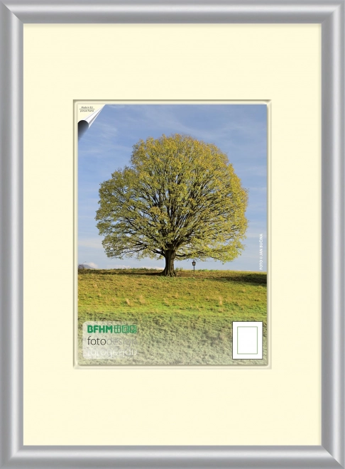 Cornice plastica argento 45x30 cm