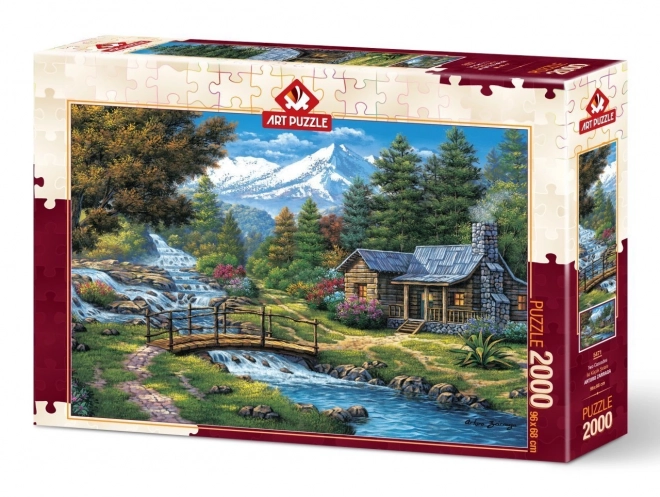 Puzzle Due Cascate 2000 Pezzi di ART PUZZLE