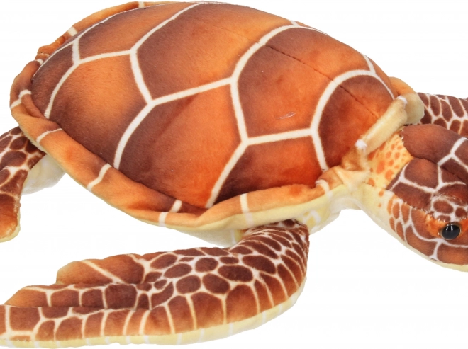 Tartaruga di peluche 32 cm