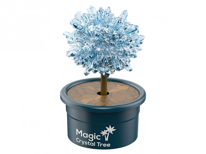 Magico albero crescita cristalli esperienze blu