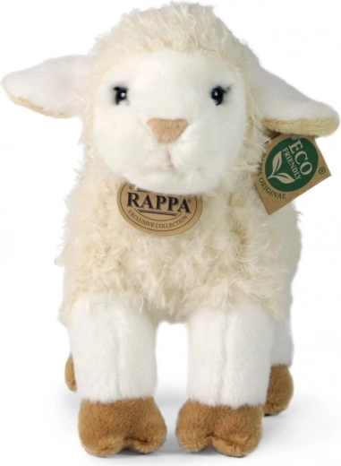 Collezione esclusiva RAPPA