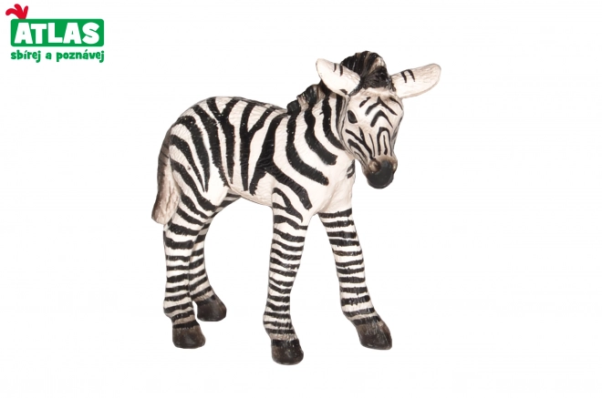 Figurina Puledro Zebra