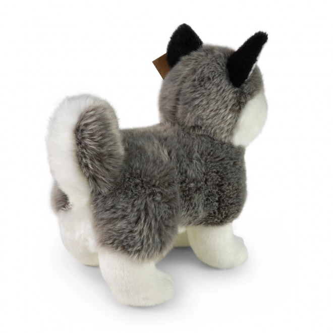 Cane husky di peluche ECO-FRIENDLY 23 cm