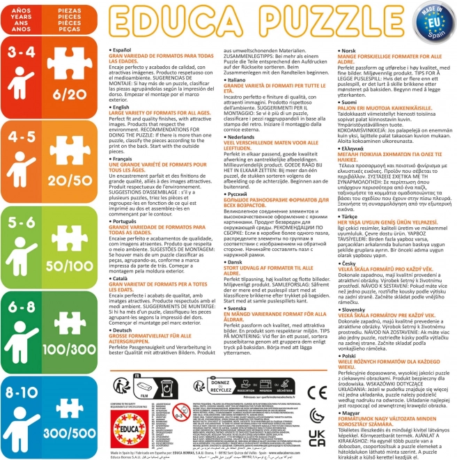 Puzzle EDUCA Dentro e Fuori Nave da Crociera 2x100 pezzi