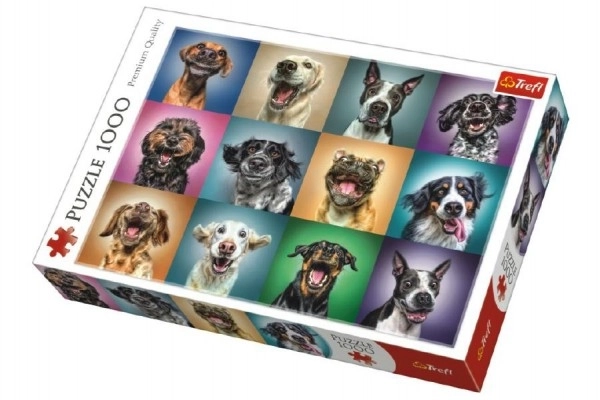 Ritratti Divertenti di Cani Puzzle 1000 Pezzi