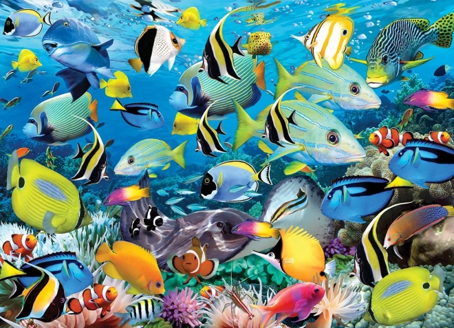 Puzzle Colori dell'Oceano 1000 Pezzi