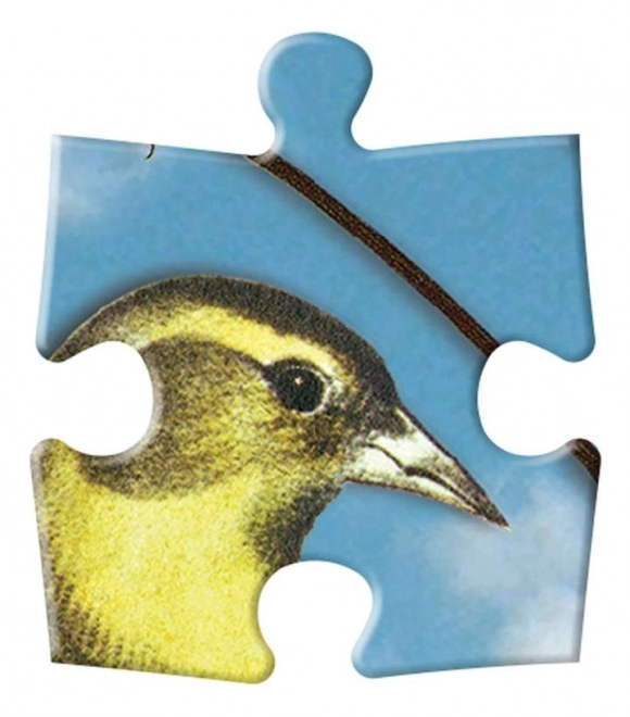 Puzzle Doppio Ptačí Symfonie 250 Pezzi