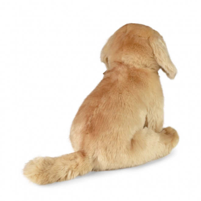 Labrador di peluche seduto 27 cm eco-friendly