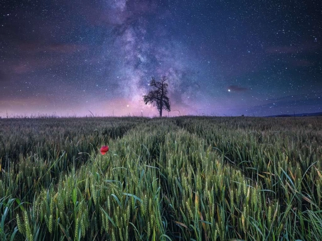 La forza della natura